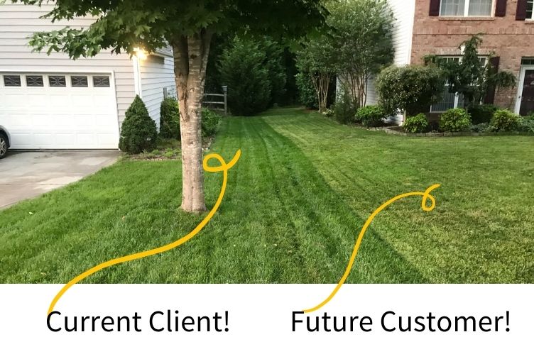 Professional Lawn Care Difference